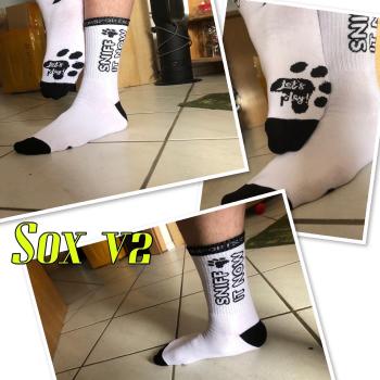 3x Puppy Socken - Socks - Sox "sniff it now"  (V2 : 42-46)