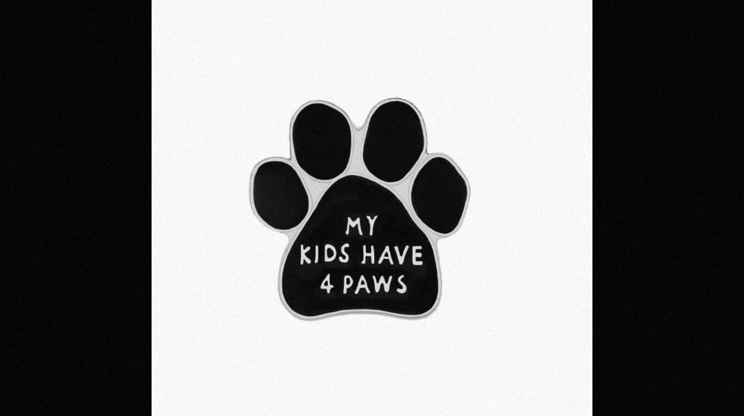 my kids have 4 paws