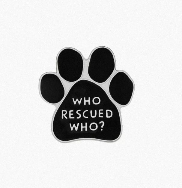 who rescued who